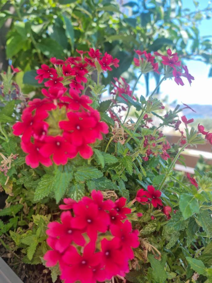 קיסאמוס Villa Vanessa מראה חיצוני תמונה